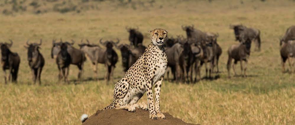 Mahali Mzuri Hotell Maasai Mara Exteriör bild