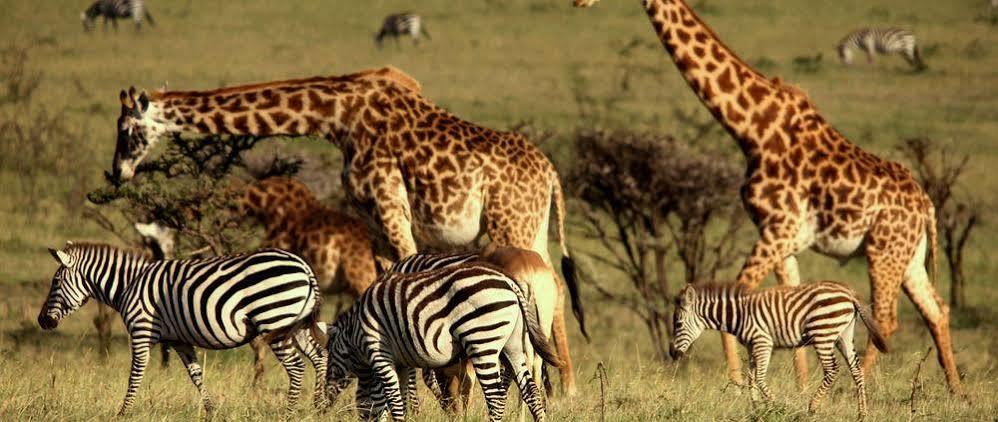 Mahali Mzuri Hotell Maasai Mara Exteriör bild